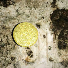 Load image into Gallery viewer, Avalon resting on white bark! unique gold perfect for GLAM vegan 

