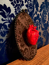 Load image into Gallery viewer, 3D Mounted Anatomical Heart

